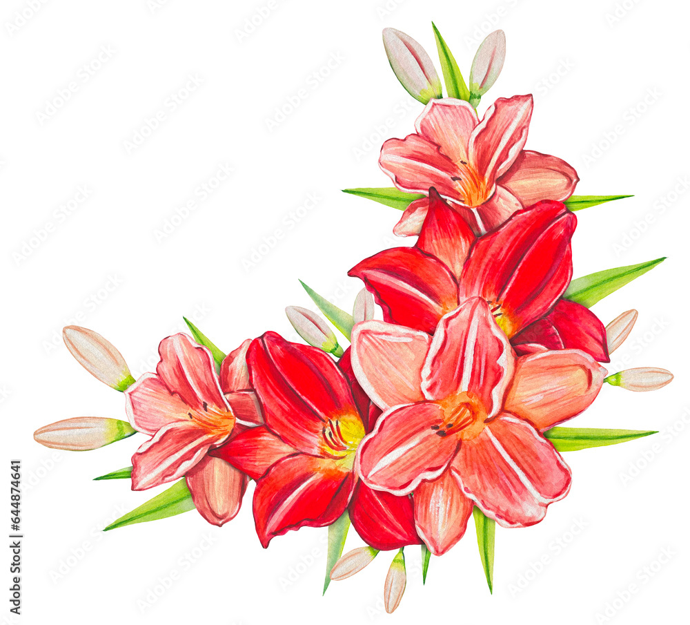 Fototapeta premium Bouquet with red lilies, watercolor botanical illustration