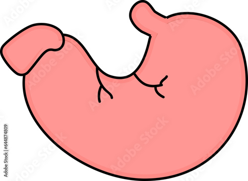 Stomach Internal Organ Flat Vector.