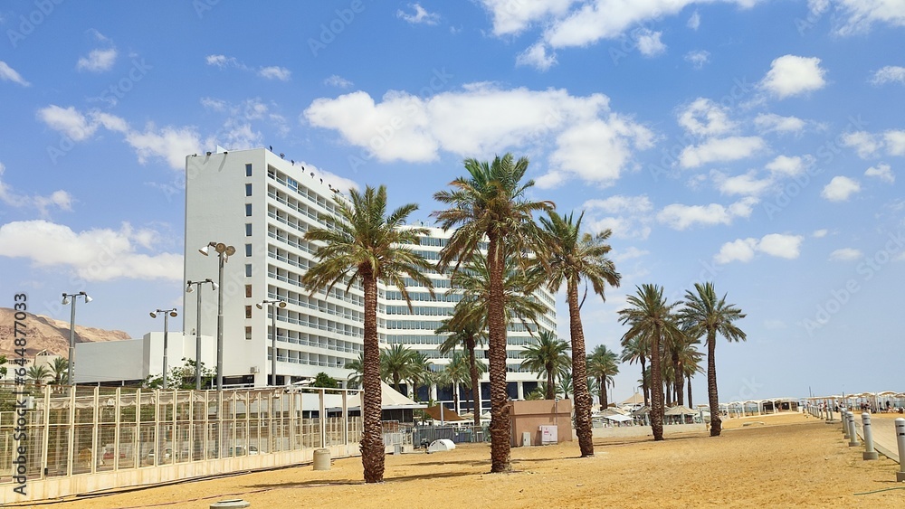 Obraz premium trees on the beach