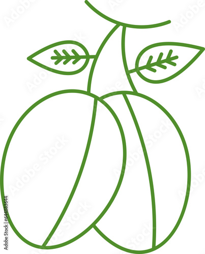 Bunch Argan Berries Icon Green Line Art.