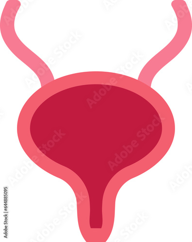Red Illustration Of Bladder Anatomy Flat Icon.