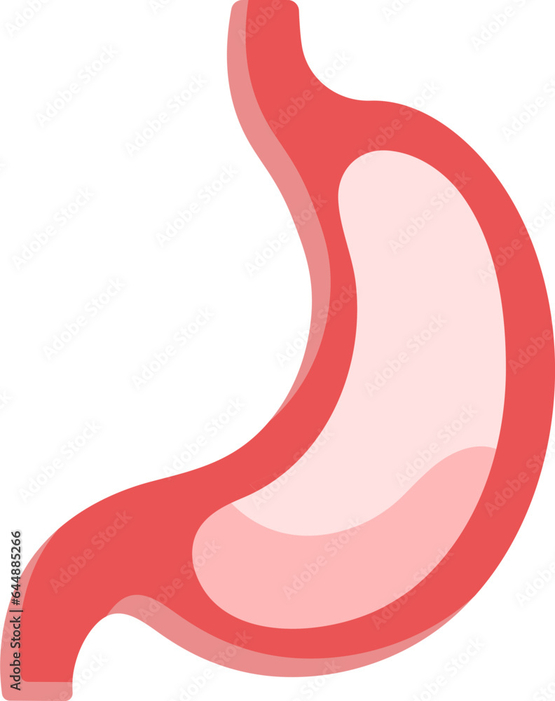 Red Illustration Of Stomach Structure Icon.