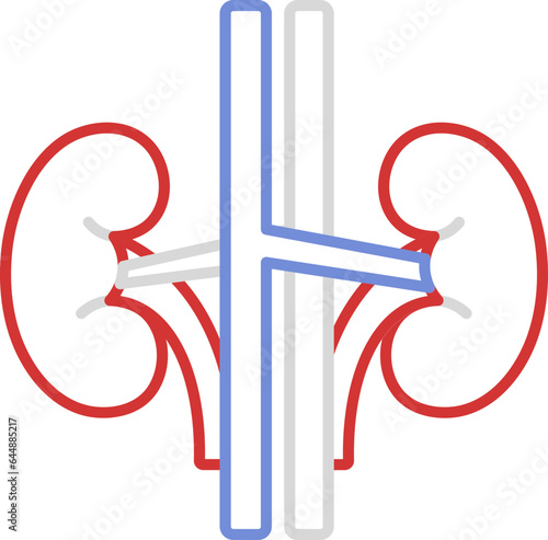 Colorful Stroke Style Of Kidney Structure Icon.