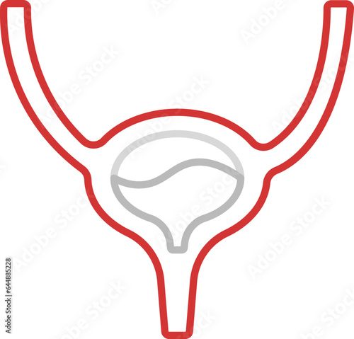 Red And Grey Illustration Of Bladder Anatomy Stroke Icon.
