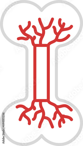 Red And Grey Linear Of Bone Blood Circulation Icon. photo