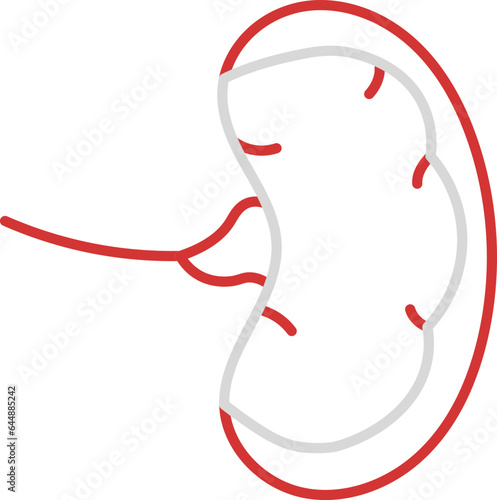 Thin Linear Of Spleen Icon In Grey And Red Color. photo
