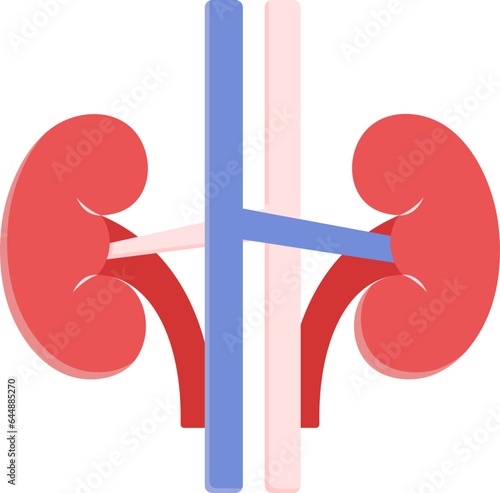 Blue And Red Kidney Structure Flat Icon.