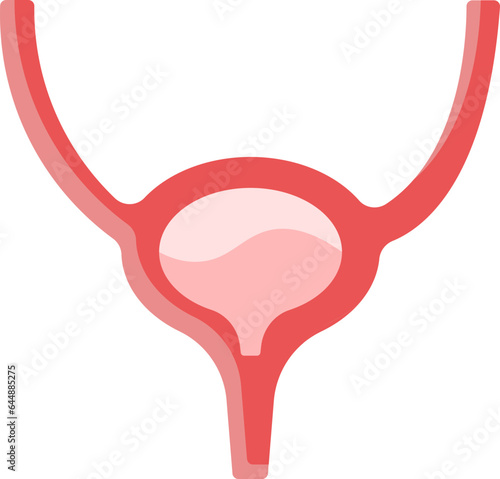 Red Illustration Of Bladder Anatomy Flat Icon.