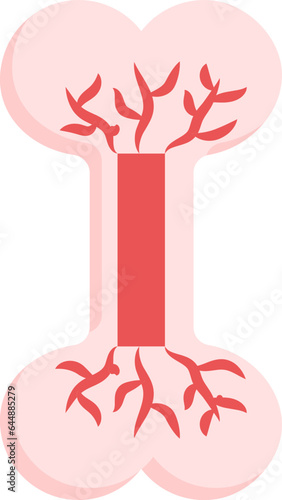 Red Illustration Of Bone Blood Circulation Icon. photo