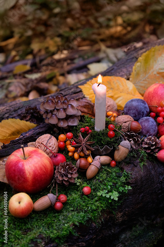 Candle, ripe fruits and berries, nuts, fall leaves on tree trunk in autumn forest. Wiccan altar for Mabon sabbat, Harvest holiday. autumn equinox. Witchcraft, magic, esoteric spiritual ritual