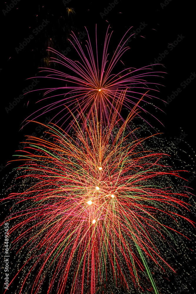 Fototapeta premium Colorful fireworks exploded in the night sky.
