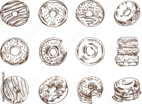 A set of hand-drawn sketches of donuts. Vintage illustration. Pastry sweets, dessert. Element for the design of labels, packaging and postcards.