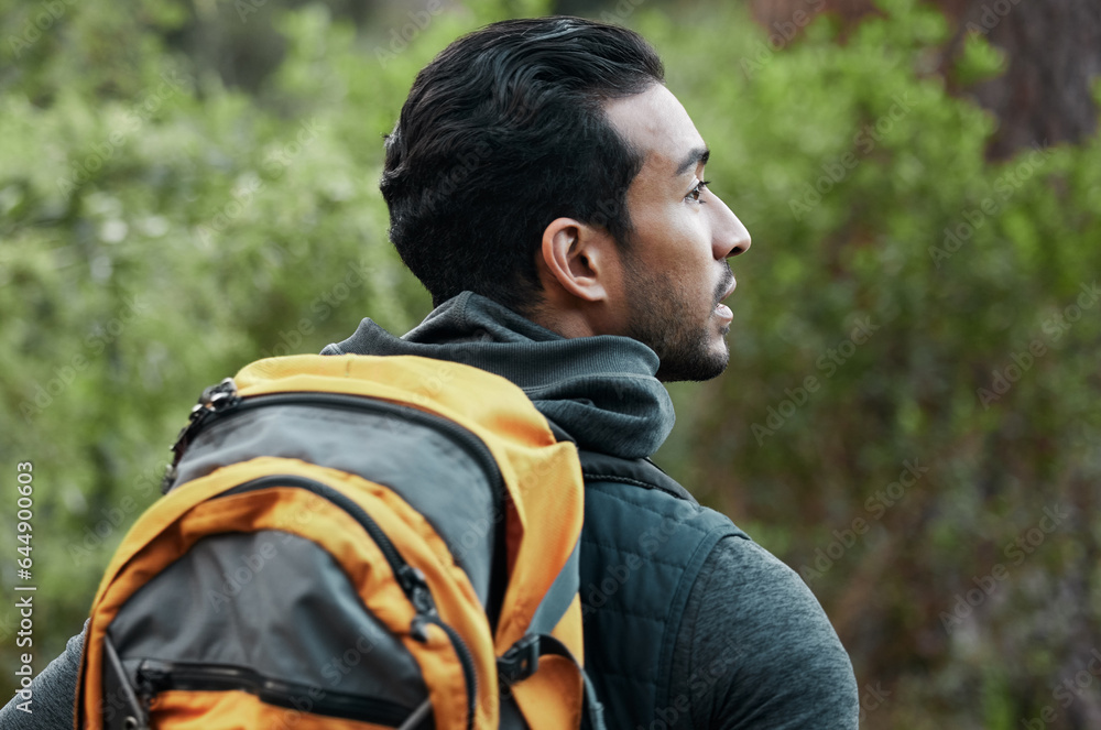 Man, backpack and thinking with view, fitness and camping travel in the forest for holiday. Exercise, trekking workout and hiking person in the woods for vacation with freedom in nature on a journey Man, backpack and thinking with view, fitness and camping travel in the forest for holiday. Exercise, trekking workout and hiking person in the woods for vacation with freedom in nature on a journey