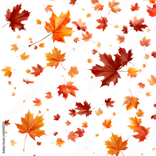 autumn leaves background on isolated transparent background