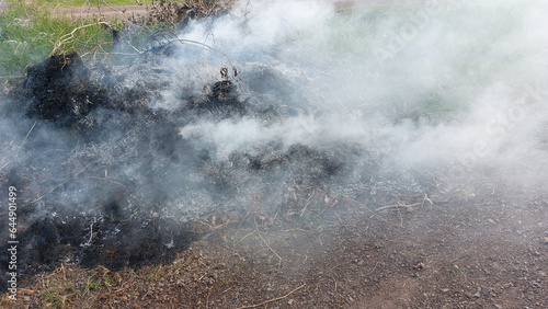 Fire and smoke from burning grass.