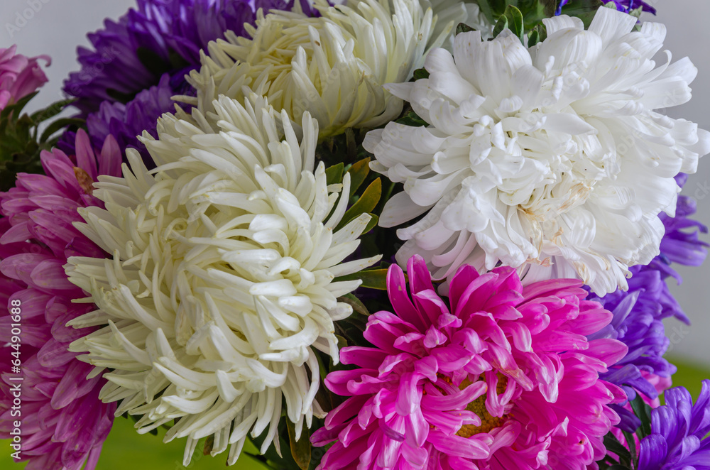 Multicolored bouquet of beautiful flowers