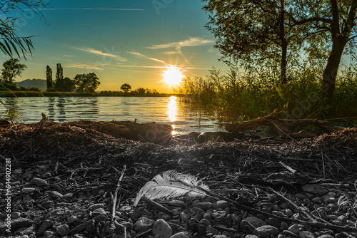 weisse Feder am Ufer des Bodensee beim Sonnenuntergang, die Sonne geht neben dem Schilf und den Bäumen am Ufer des See unter. Trauer, Verlust, Hoffnung in Farbe und Schwarz Weiss  photo