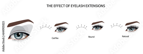 Eyelash Extension Guide. Direction schemes. Tips and tricks for eyelash extension. Infographic