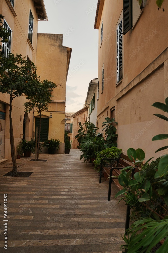 streets of the town of alcudia