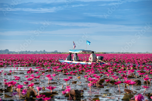 Bild auf Leinwand A Boat tour bringing tourist visit Red lotus sea (Talay Bua Daeng) at Kumphawapi District, Udon Thani Province Thailand