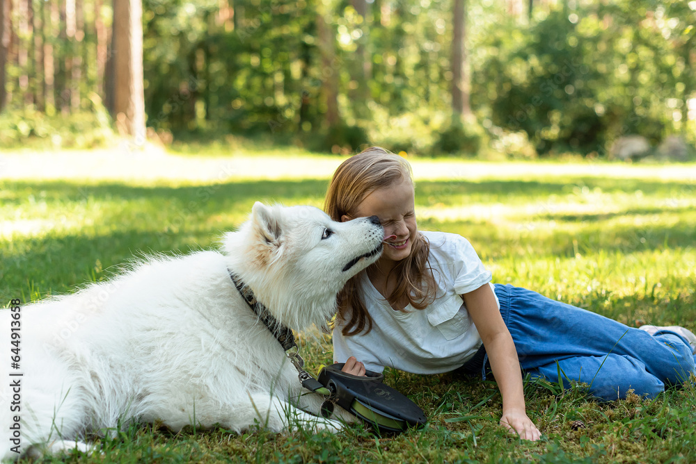 Little Girl in Forest Park Walking Playing with her Dog White Samoyed ...