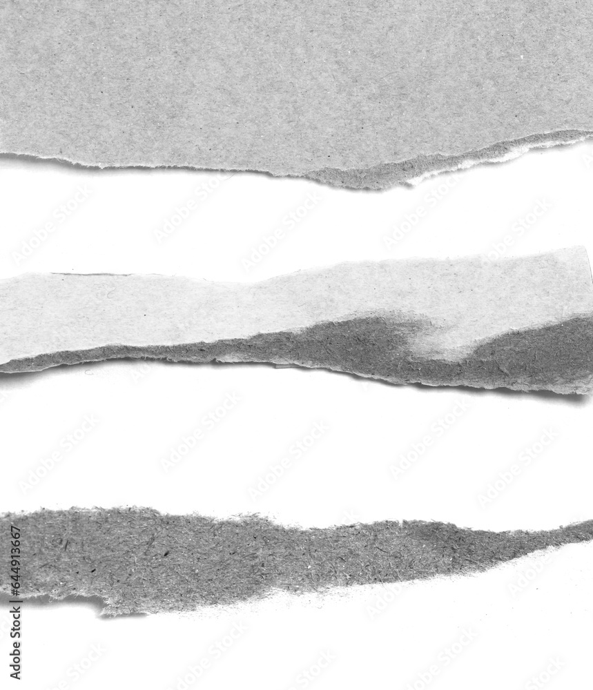 Obraz premium Collection of various vintage note rip paper on white background.