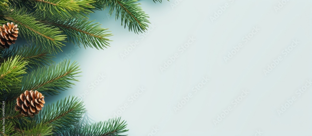 Christmas border made of fir tree branch on a isolated pastel background Copy space perfect for a New Years card or banner Christmas border made of fir tree branch on a isolated pastel background Copy space perfect for a New Years card or banner