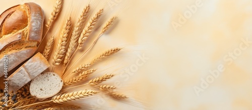 Grains of barley ear and bread isolated pastel background Copy space