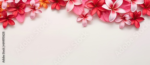 Red Siam Plumeria against a isolated pastel background Copy space