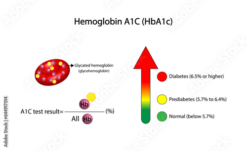 Hemoglobin A1C, HbA1c test , HbA1c levels, Glucose sticks to hemoglobin, glycated hemoglobin, up to 120 days. A1C Blood Sugar Test, Diabetes Mellitus, Infographic, Vector illustration.