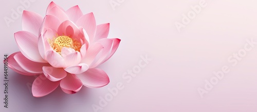 Isolated gorgeous pink lotus on a isolated pastel background Copy space