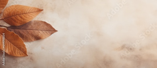 Close up image of fall colored walnut leaf with spots isolated pastel background Copy space