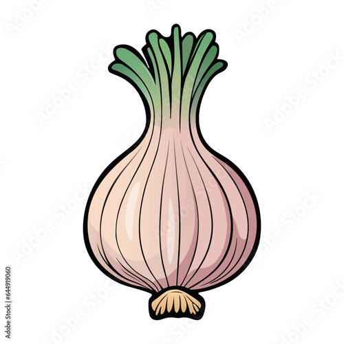 Vector illustration of fresh Onion bulb. Healthy food and vegetables concept. Illustration for books, magazines, menu. Clipart ingredients. Hand drawn style napiform onion with black outline.
