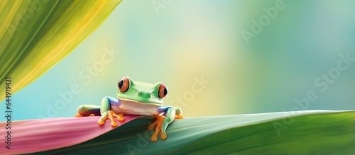 A tiny frog in a plant in Florida seen up close isolated pastel background Copy space