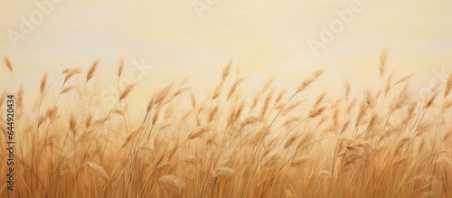 Top view of dry grass on a isolated pastel background Copy space