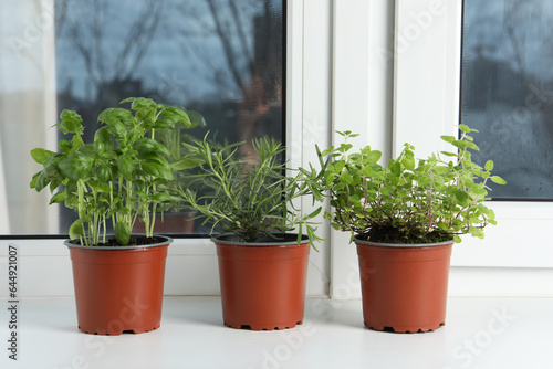 Different aromatic potted herbs on windowsill indoors © New Africa