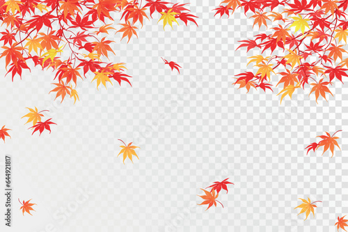 Autumn branches on a transparent background. The time of leaf fall. The red leaves of the Japanese maple fall down, fluttering in the wind. Vector illustration.