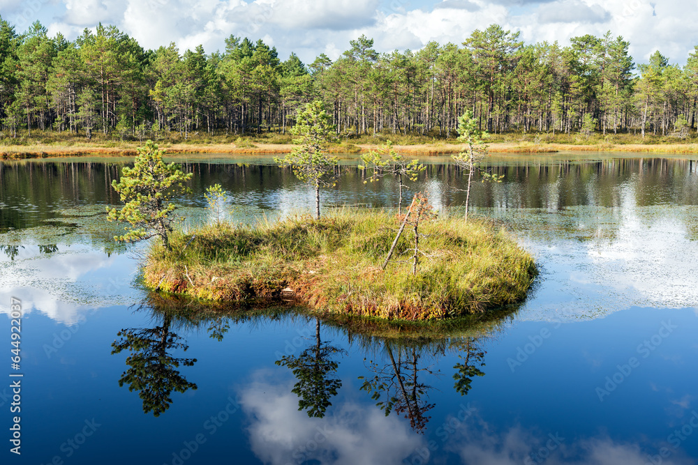 Estonian nature, Selisoo bog on a summer day, small forest lake. Estonian nature, Selisoo bog on a summer day, small forest lake.