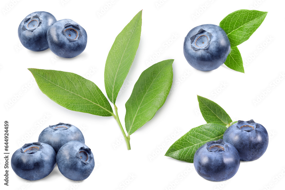 Set with fresh ripe blueberries and green leaves isolated in white Set with fresh ripe blueberries and green leaves isolated in white