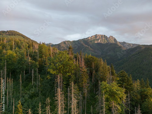 Mountain landscape in Zakopane Tatras, view of the Gievont rock from a drone at sunset in summer.