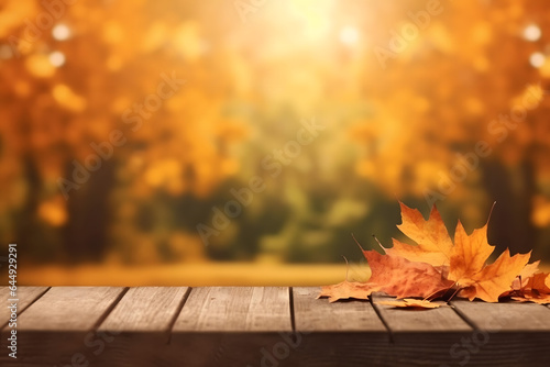 autumn  autumn leaves background
