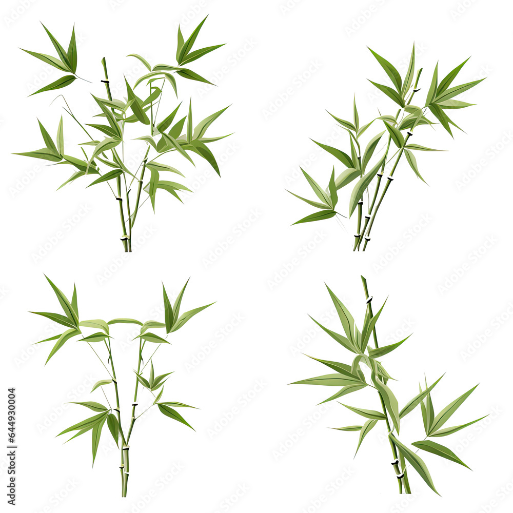 Obraz premium Bamboo Plant Green vector graphic
