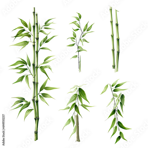 Bamboo Plant Green vector graphic