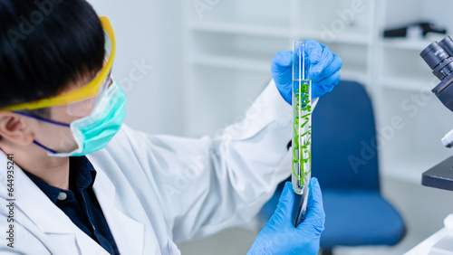 Scientist holding a sample of plants in test tube. Concept of botanical  chemistry  ecology and biology laboratory. Environmental and sustainability green energy experiment research. Medical glassware