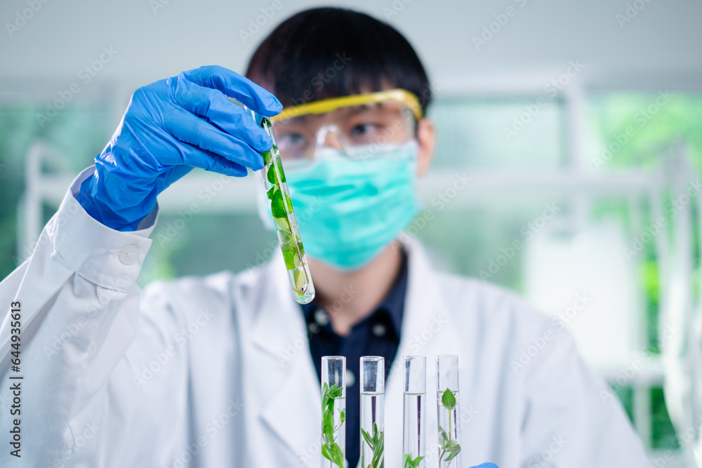 Scientist looking a sample of plants in test tube. Concept of botanical, chemistry, ecology and biology laboratory. Environmental and sustainability green energy experiment research. Medical glassware Scientist looking a sample of plants in test tube. Concept of botanical, chemistry, ecology and biology laboratory. Environmental and sustainability green energy experiment research. Medical glassware