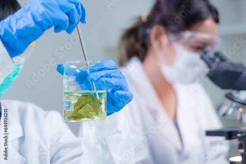 Concept of algae, algaculture and seaweed in laboratory. Researcher or scientist is working with biology or biotechnology. Analyzing microbiology, herb, diesel, biodiesel and carbon experiment. photo