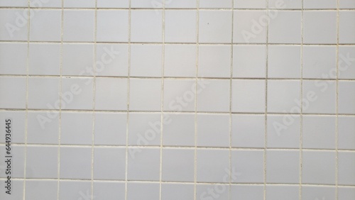 ceramic tile decorated floor texture