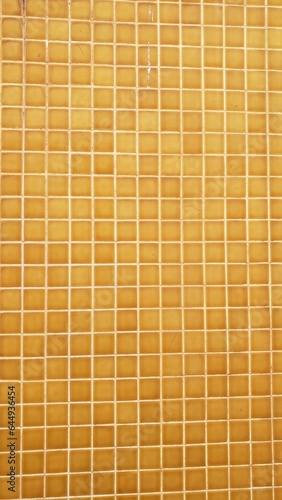 ceramic tile decorated floor texture