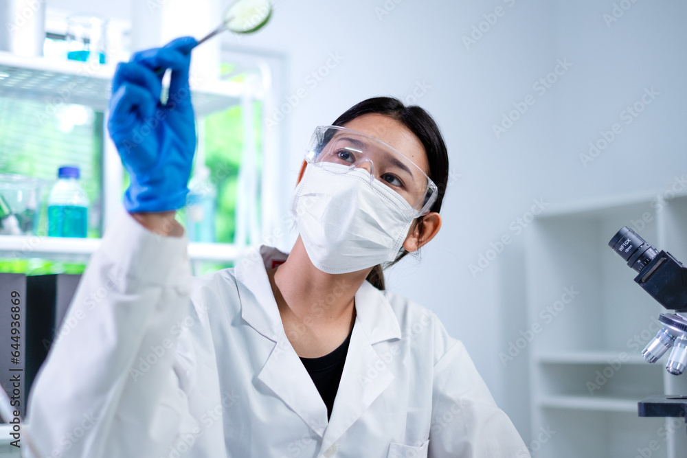 Female scientist is lifting or doing experiment of cucumber cosmetic, skincare and treatment laboratory. Concept of moisturizer, serum, gel or cream essential experiment or research. Cosmetology test. Female scientist is lifting or doing experiment of cucumber cosmetic, skincare and treatment laboratory. Concept of moisturizer, serum, gel or cream essential experiment or research. Cosmetology test.