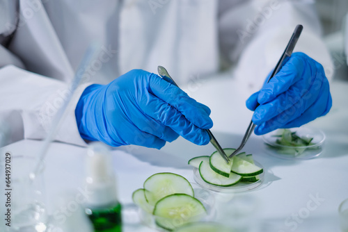 Close up of Scientist select cucumber seed, tissue for experiment or research of body skin care, cosmetic, treatment, serum or medical moisturizer essence. Developing quality of product in laboratory.